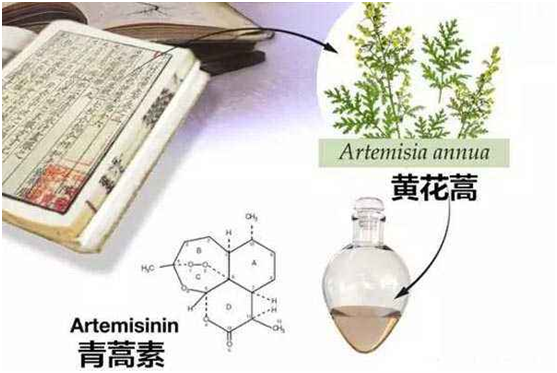 安博体育,安博（中国）：向中医药看齐，与世界共享中医药文化(图1)